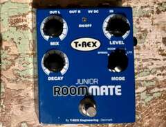 T-Rex room mate junior