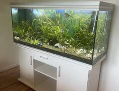Komplett akvarium 420 l med...