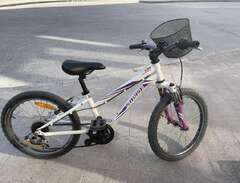 Cykel 24 tum Specialized
