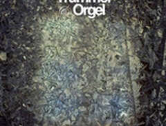 Trummor & Orgel: Visions