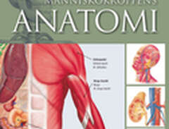 Människokroppens Anatomi