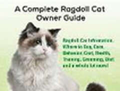 Ragdoll Cats as Pets: Ragdo...