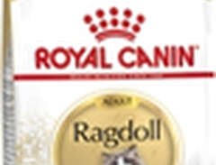 Kattmat Royal Canin Adult R...