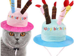 Födelsedagshatt för Katt - Blå