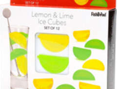 Iskuber Citron och Lime