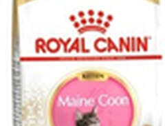 Kattmat Royal Canin Kitten...