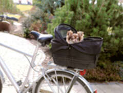 Cykelkorg för pakethållare...
