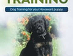 Hovawart Training - Dog Tra...