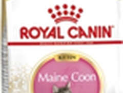 Kattmat Royal Canin Kitten...