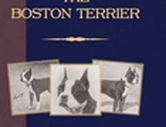 The Boston Terrier (A Vinta...