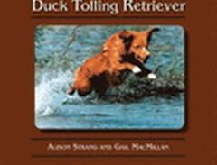 The Nova Scotia Duck Tollin...