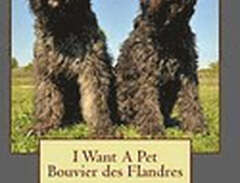I Want A Pet Bouvier des Fl...