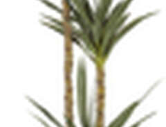 Konstgjord växt Yucca