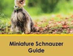 Miniature Schnauzer Guide M...
