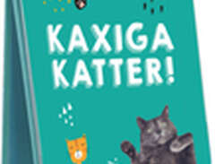 Kaxiga Katter