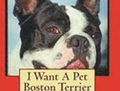 I Want A Pet Boston Terrier...