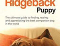 Your Rhodesian Ridgeback Puppy