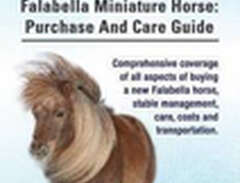 Falabella Miniature Horse....