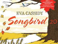 Cassidy Eva: Songbird 20 (Rem)