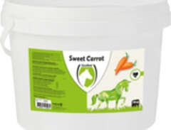 Sweet Carrot Blocks- Hästgodis