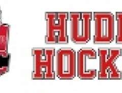 Ekonomiansvarig - Hudik Hockey