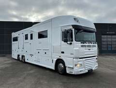 DAF STX 8 HORSES WITH LIVING