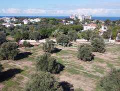 Land i Girne, North Cyprus