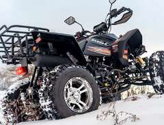 Bashan ATV 250 EFI Sport dr...