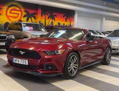 Ford Mustang EcoBoost Conve...