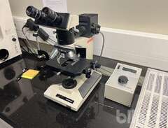 Microskop Olympus BH2 Ljusm...