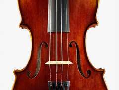 Violin Fiol Superb Student...