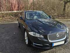Jaguar XJ Premium Luxury Li...