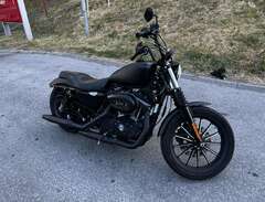 Harley Davidson XL883 A2