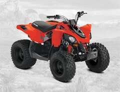 Can Am Ds 90 cc