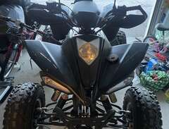 Bashan 250cc