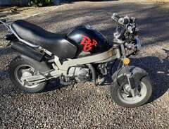Moped Skyteam PBR St50 -2005