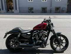 Harley-Davidson XL883N Spor...
