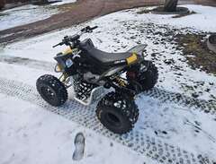 Can Am DS90X 2014