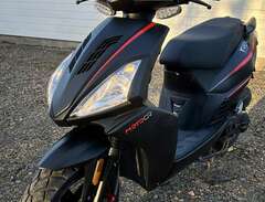 MOTOCR T-REX EURO5 - 2022