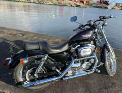 Harley Davidson XL 1200C Sp...