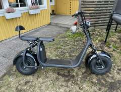 El scooter Fat bike