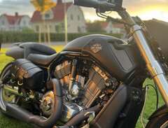 Harley Davidson V-rod muscle