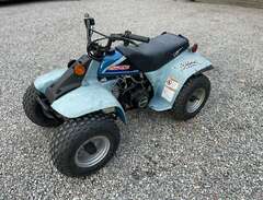 Quad Junior 50cc ATV