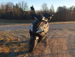 Moped MotoCR T-Rex 2021
