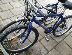Pinewood x40 Cykel | 26 tum...