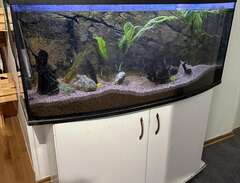akvarium 360 liter