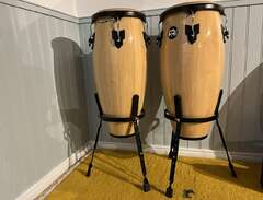 congas meinel