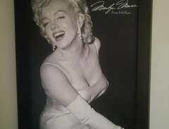 Marilyn Monroe tavlor