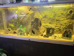 Akvarium 540 liter