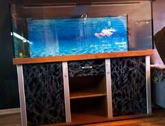 Fint akvarium 540 liter